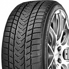 Gripmax Pro Winter 255/35 R 21 98V Gripmax Pro Winter 255/35 R 21 98V