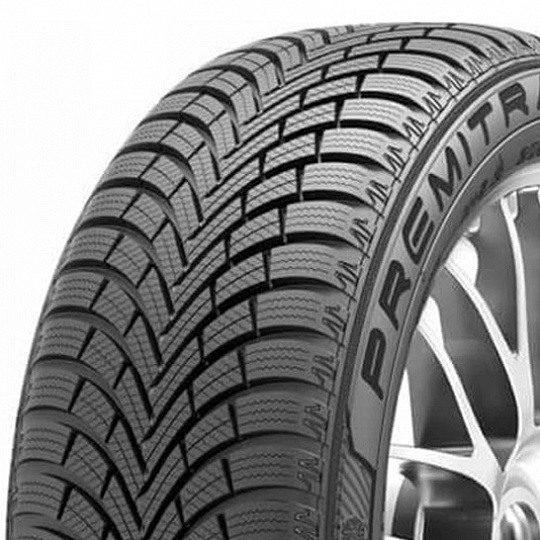 Maxxis Premitra Snow WP6 255/45 R 19 104W