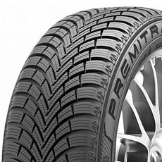 Maxxis Premitra Snow WP6 195/55 R 16 91H